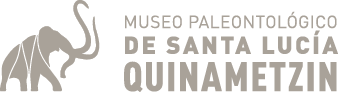 Museo paleontologico